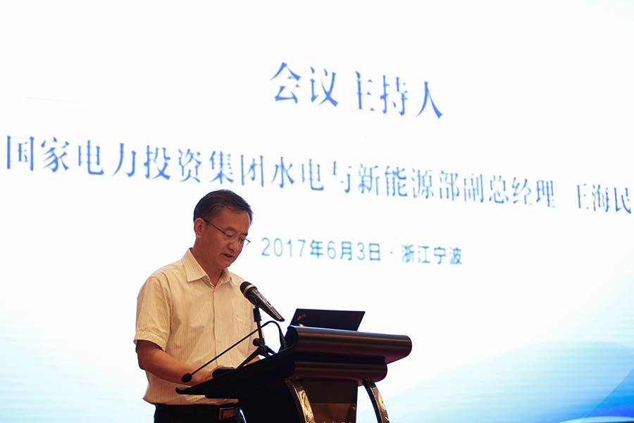 國家電投水電與新動力部副主任王海民
