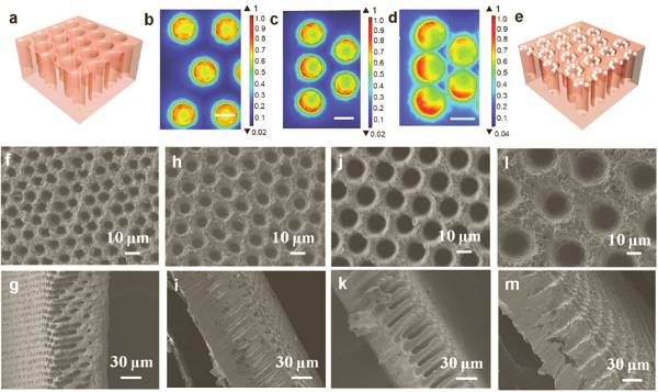 調整充電機充電鋰電池的垂直微孔孔道中的沉積/溶解可以提高鋰金屬負極的穩定性？
