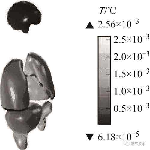 電動汽車蓄電池充電機無線充電系統(tǒng)會危害人體健康嗎？